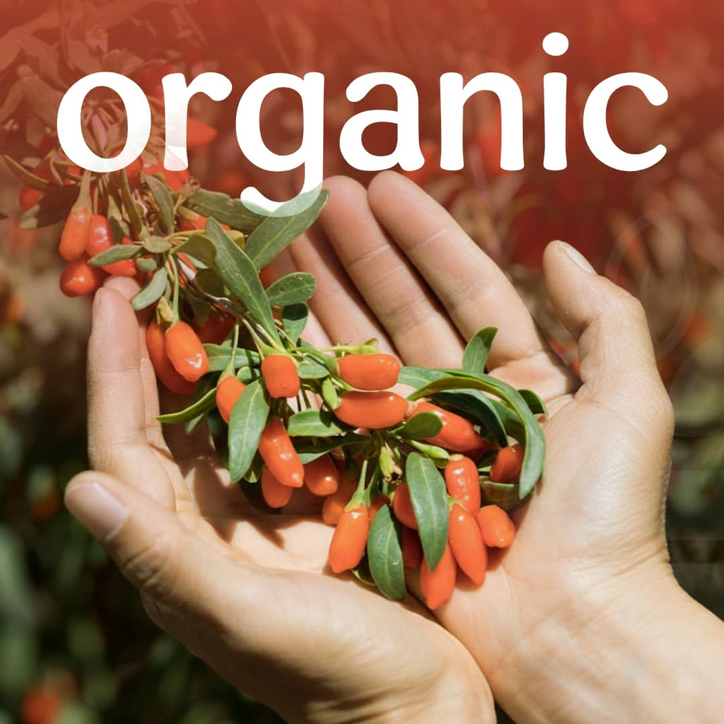 Organic Goji Berries Z277