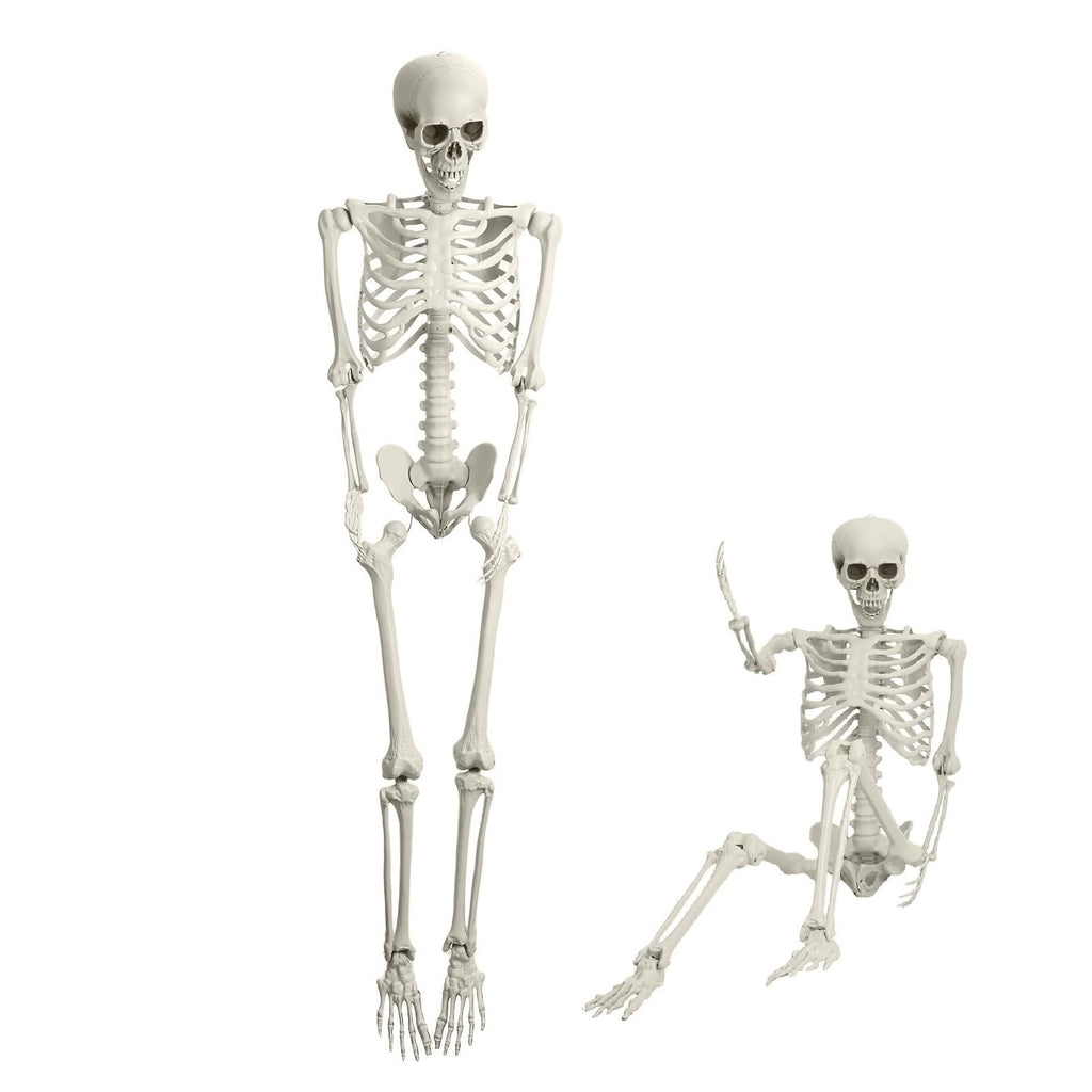 5.4FT Halloween Skeleton with Movable Joints W931135
