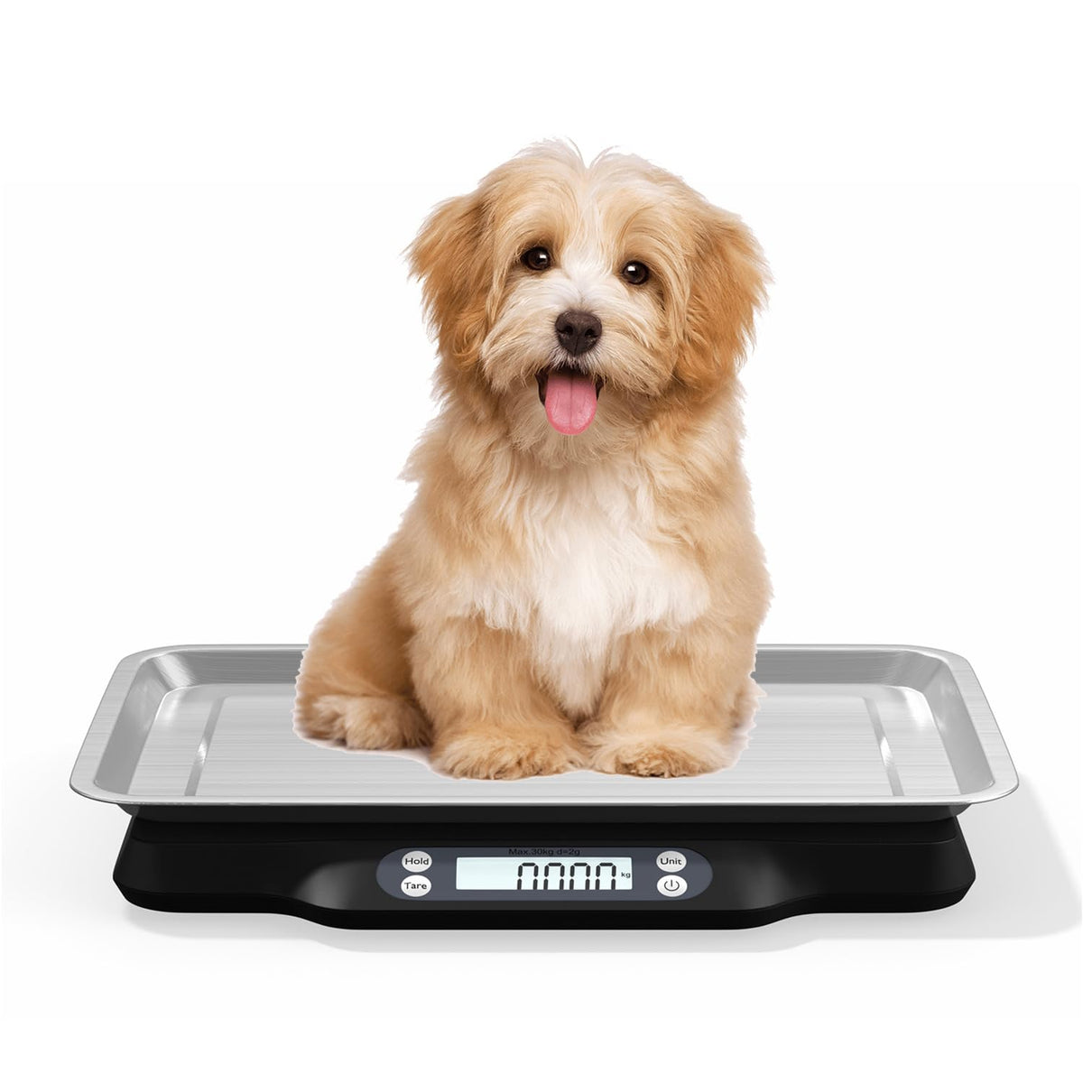 Digital Little Animal Precision Scale 30kg/2g O1488