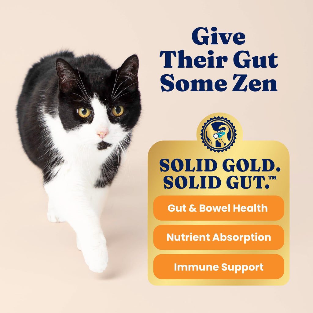 Solid Gold High Protein Chicken Dry Cat Food 6lb G178849