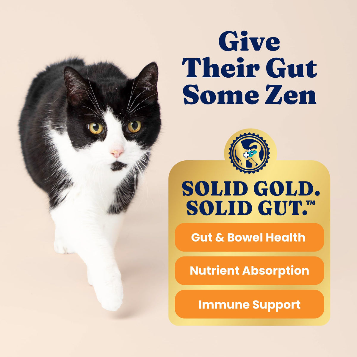 Solid Gold High Protein Chicken Dry Cat Food 6lb G178849