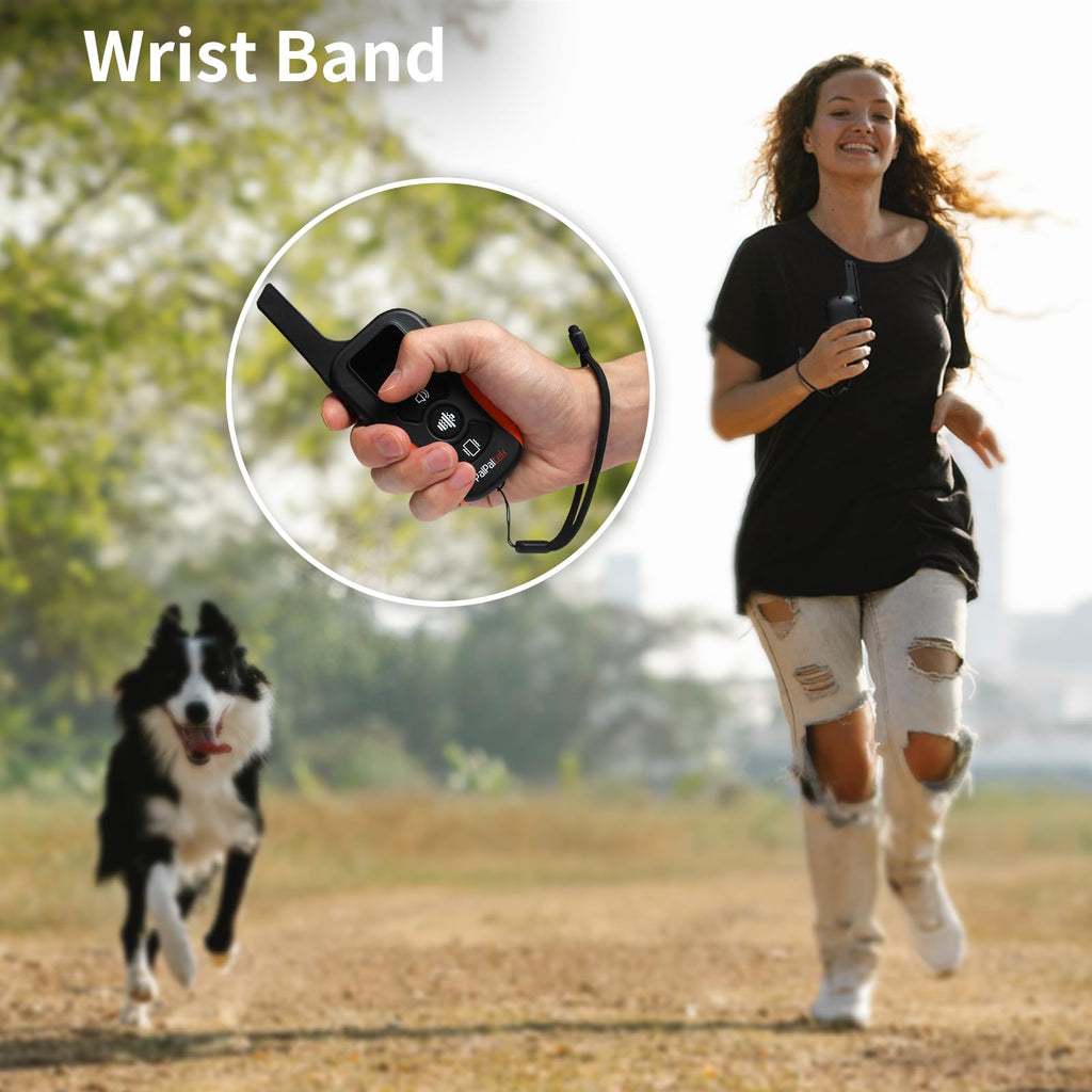 Vibration Dog Collar with Controller C92777