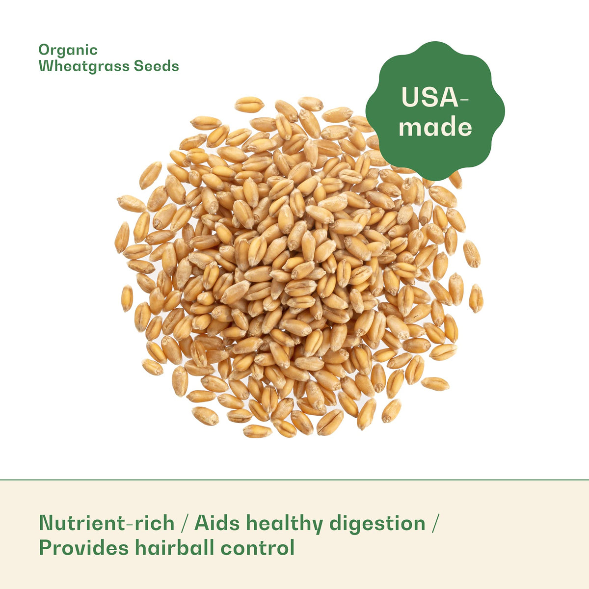 Organic Wheat Grass Seeds 16 Ounces N3875