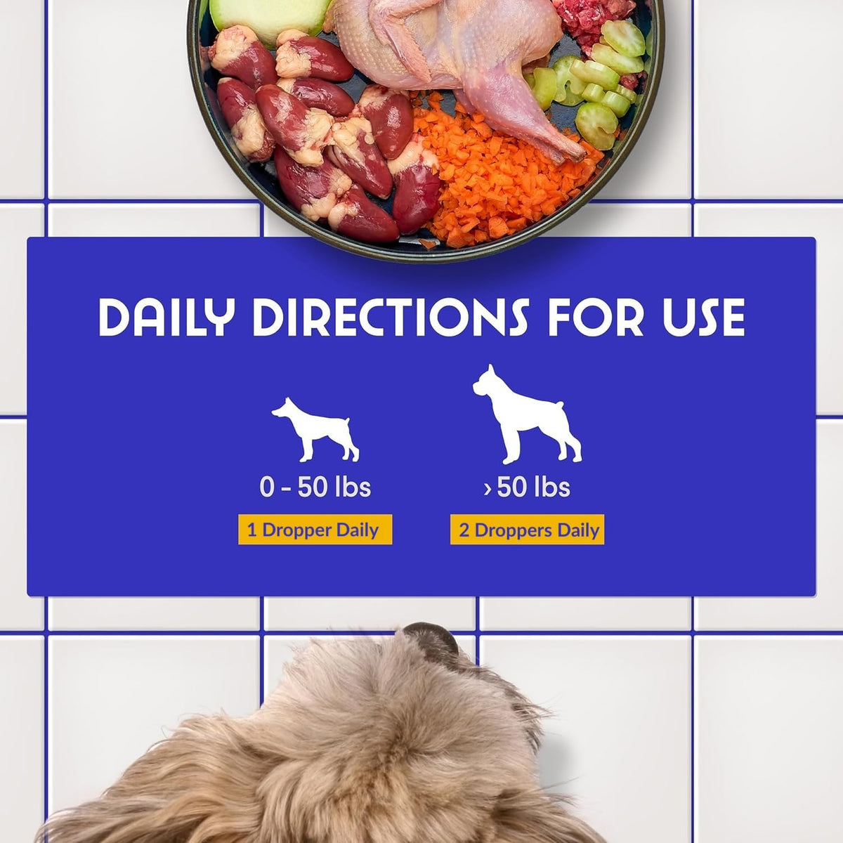 Milk Thistle Liver Support for Dogs with Salmon Oil & Curcumin 2 Oz Y599957