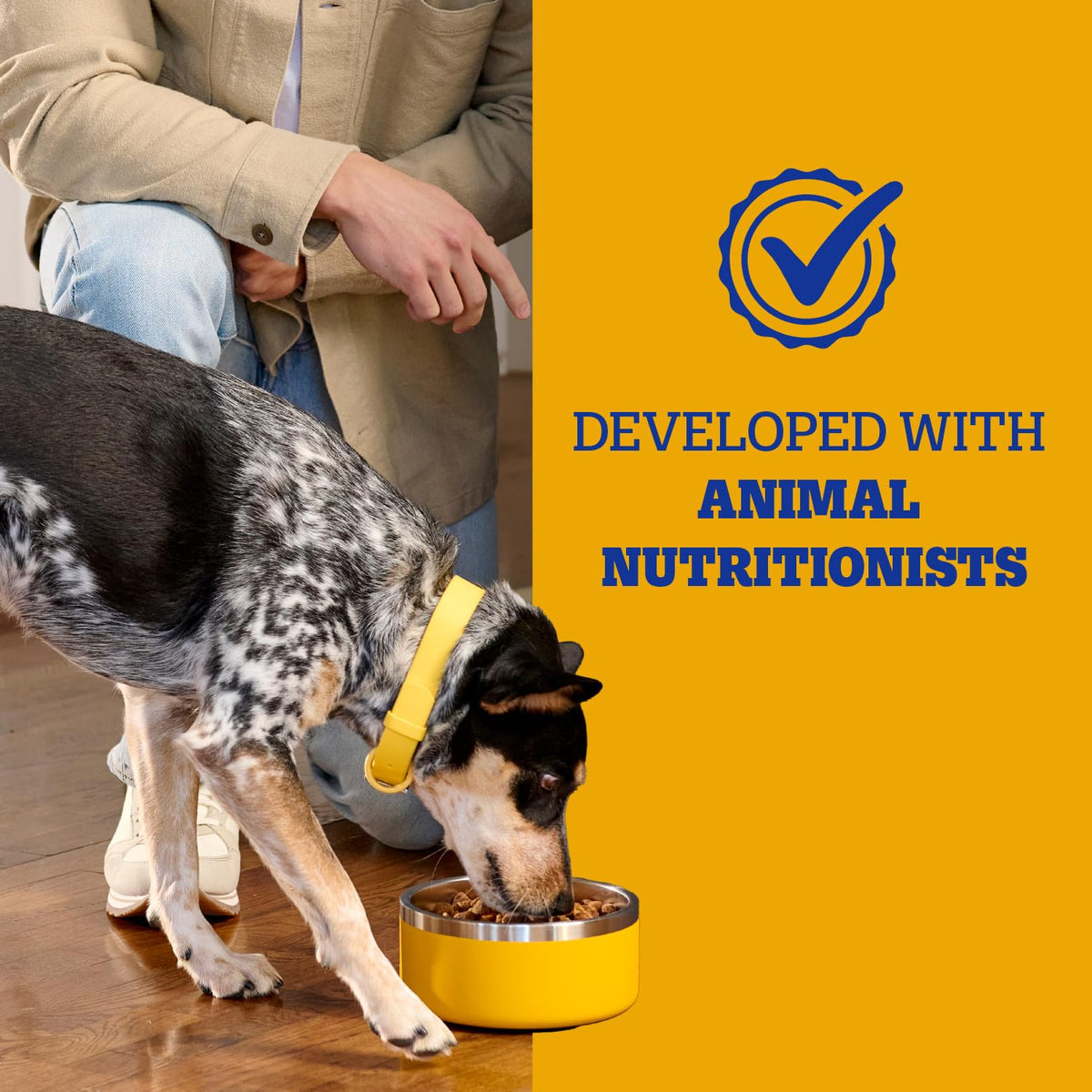 Adult Complete Nutrition Dry Dog Food Steak & Vegetable 18 lb N85337