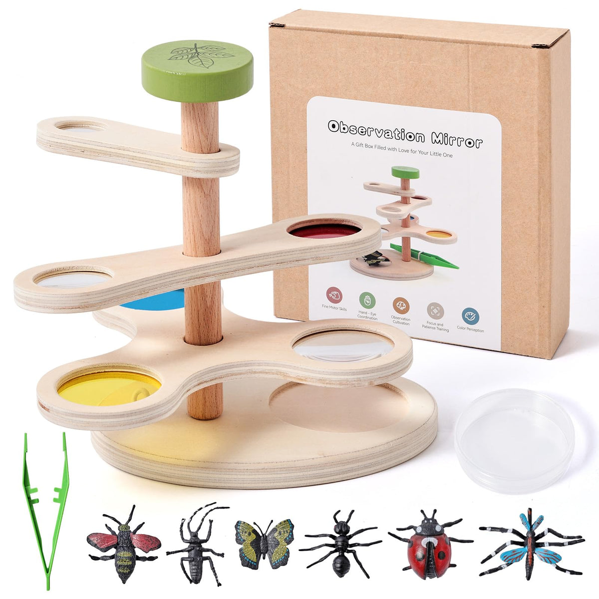 Insect Observation Kit with Tweezers, Petri Dish and 6 Insect Models C2948