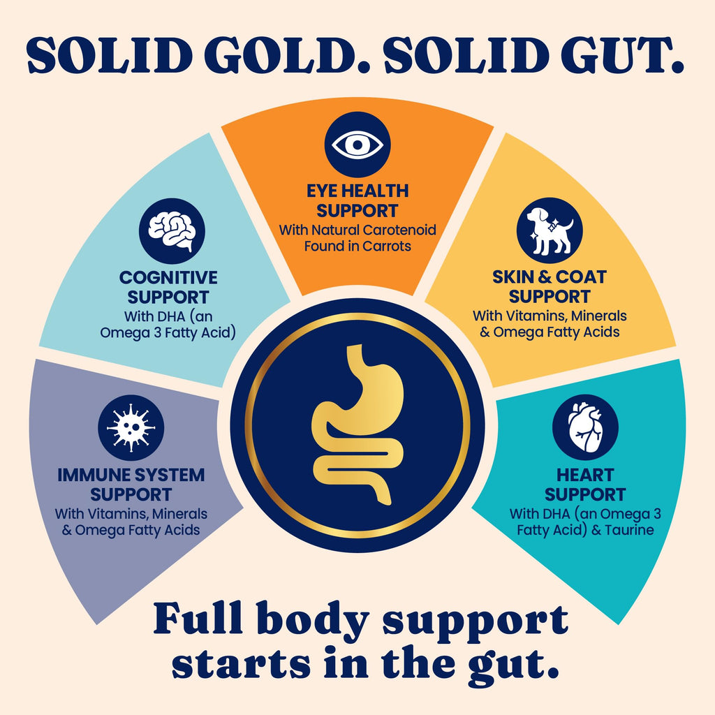 Solid Gold High Protein Chicken Dry Cat Food 6lb G178849