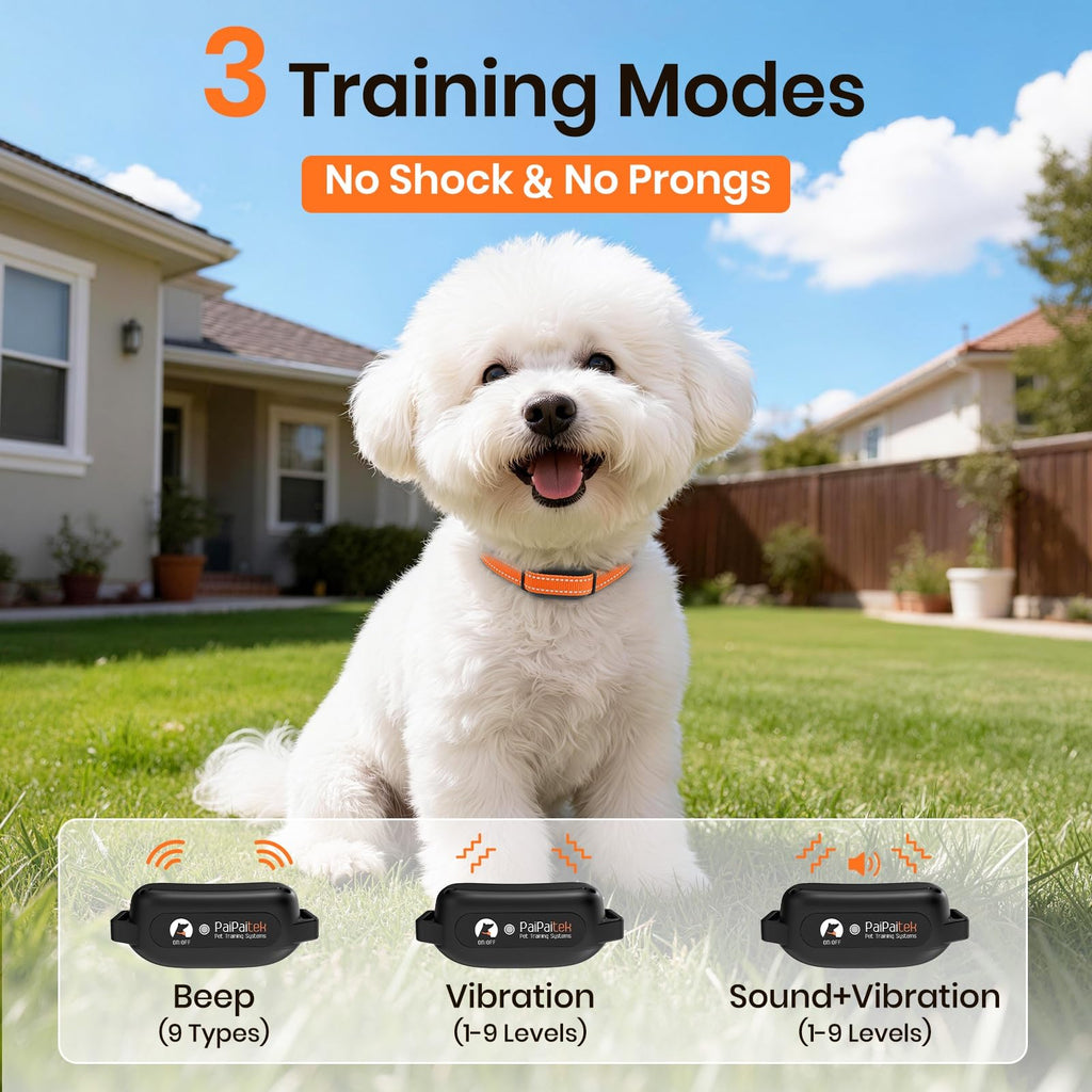 Vibration Dog Collar with Controller C92777