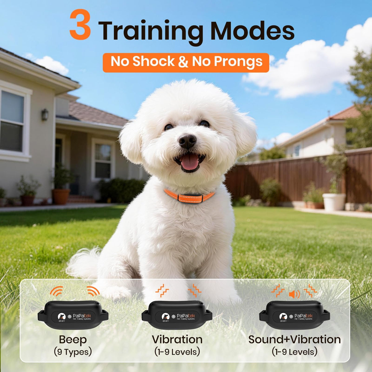 Vibration Dog Collar with Controller C92777