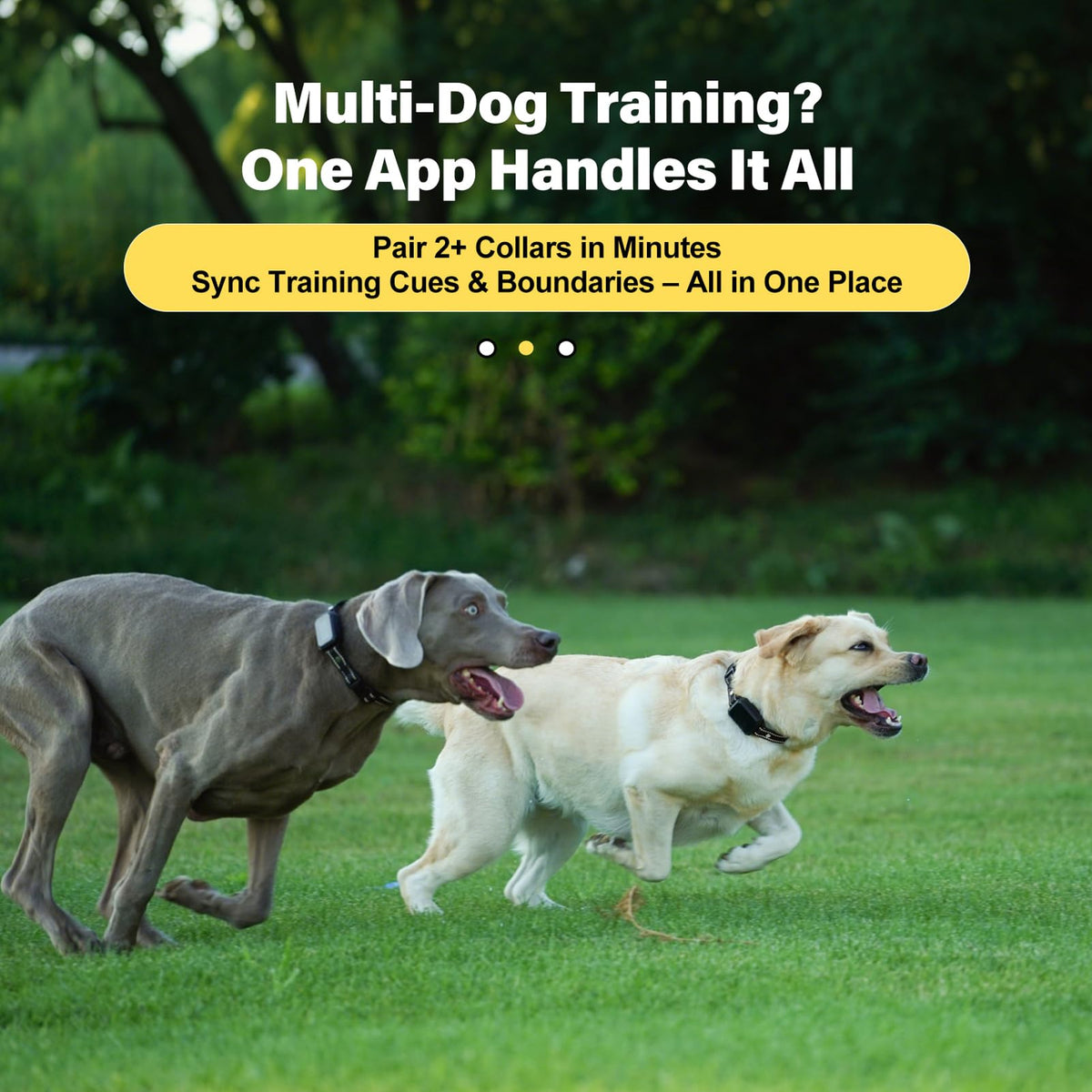 Wireless Dog Collar Fence System with Remote Training D625013