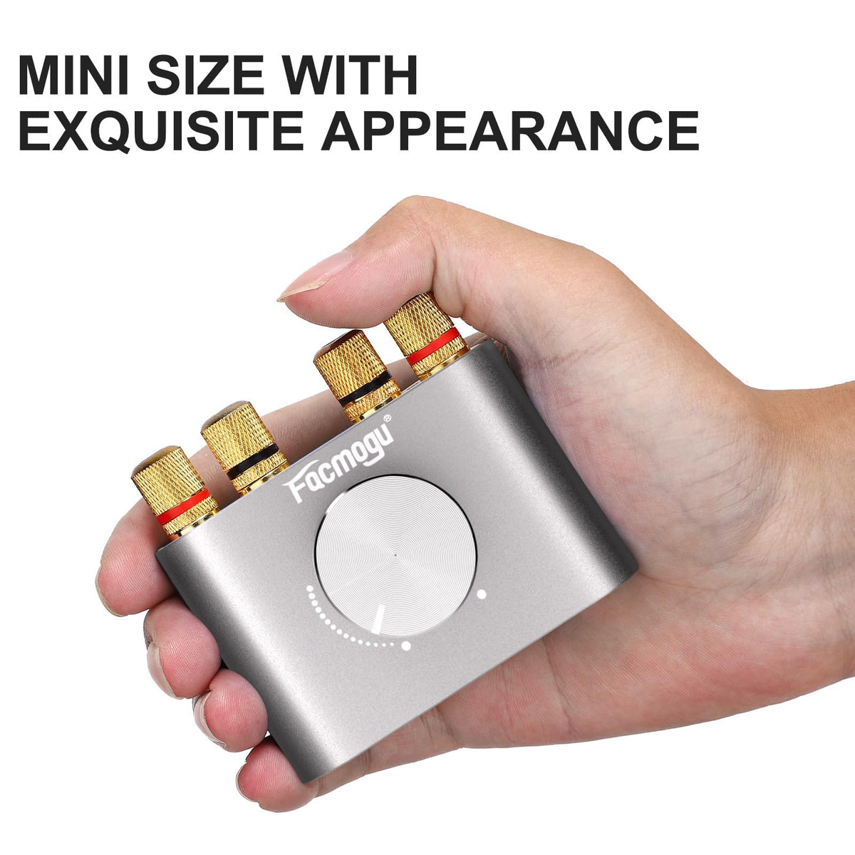 Bluetooth 5.0 Mini Power Amplifier K470917