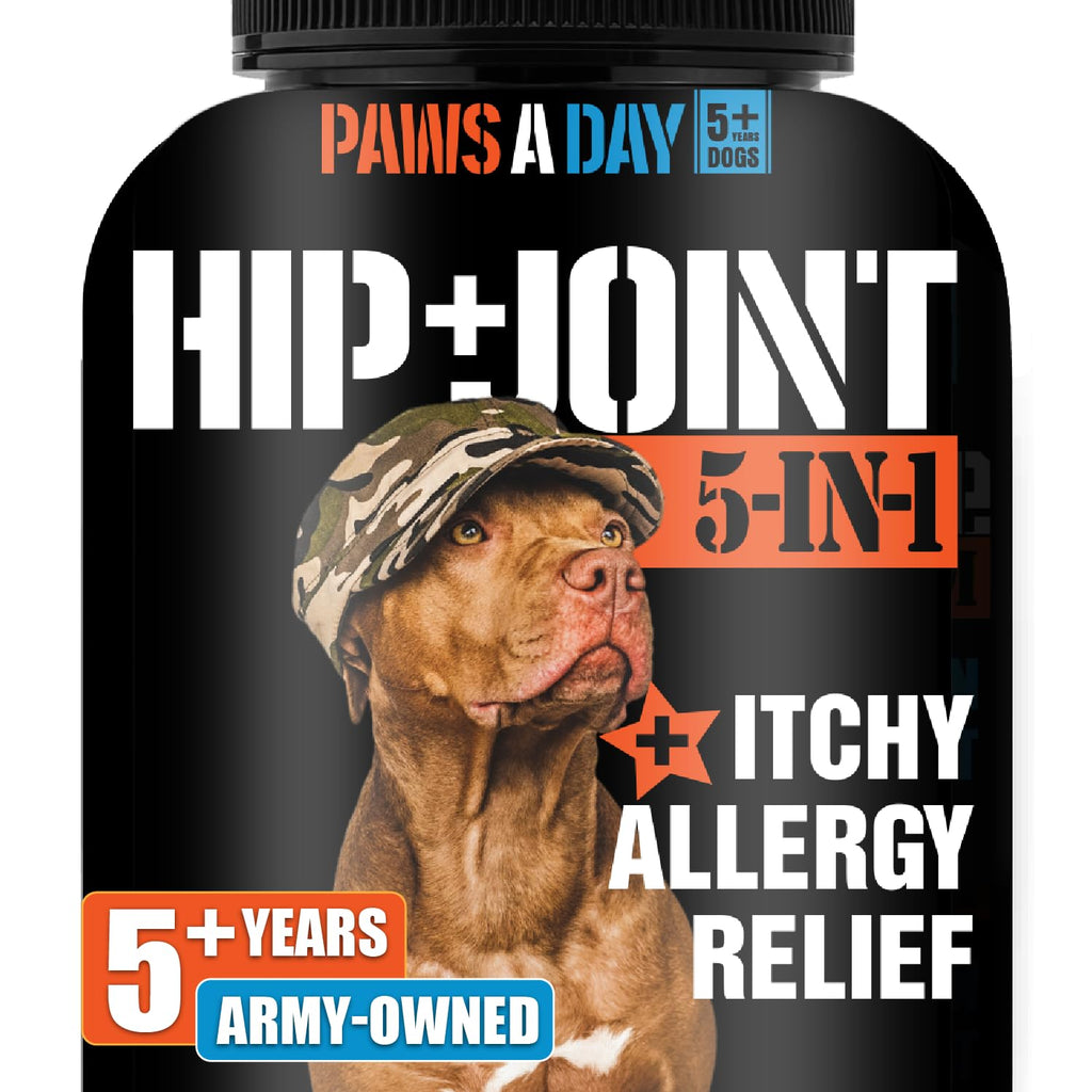 Glucosamine Hip & Joint Supplement 60 Chewable Tablet I287