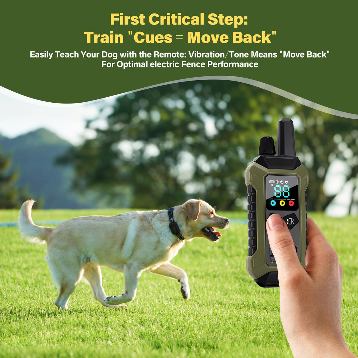 Wireless Dog Collar Fence System with Remote Training D625013