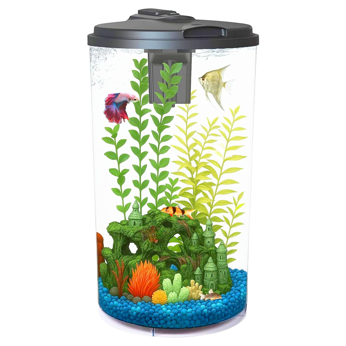 6-Gallon Aquarium Kit with LED Lighting and Power Filter T587