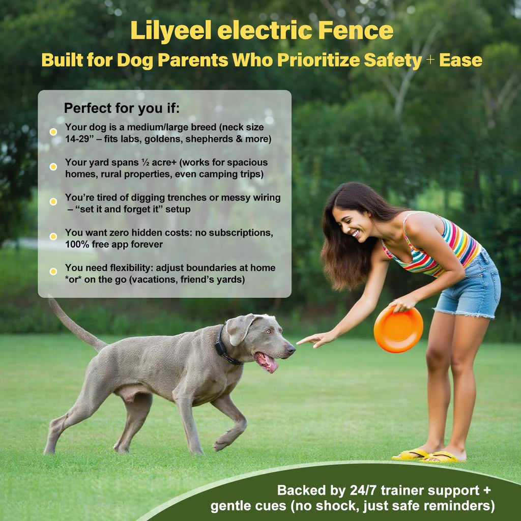 Wireless Dog Collar Fence System with Remote Training D625013