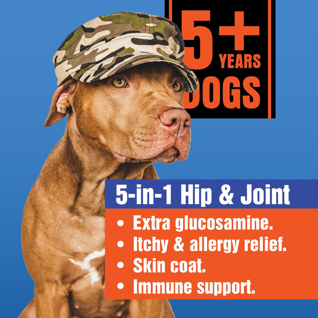 Glucosamine Hip & Joint Supplement 60 Chewable Tablet I287