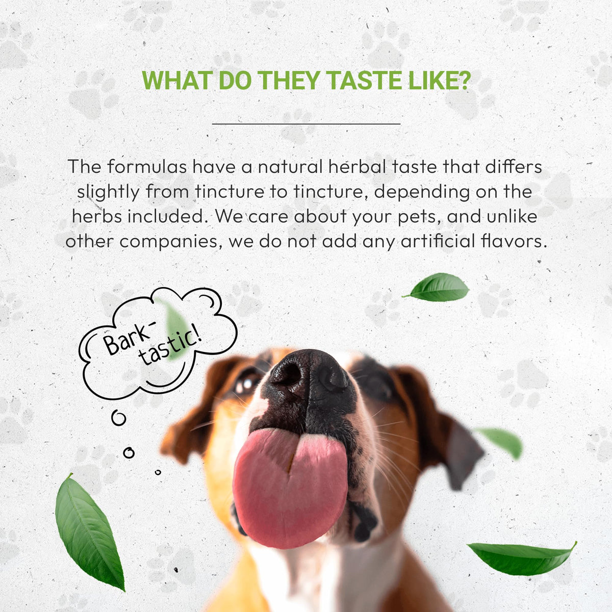 Herbal Dietary Supplement for Dogs 2 oz A9478