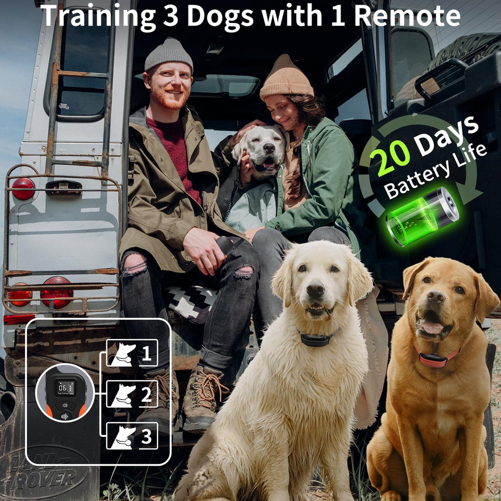 Vibration Dog Collar with Controller C92777