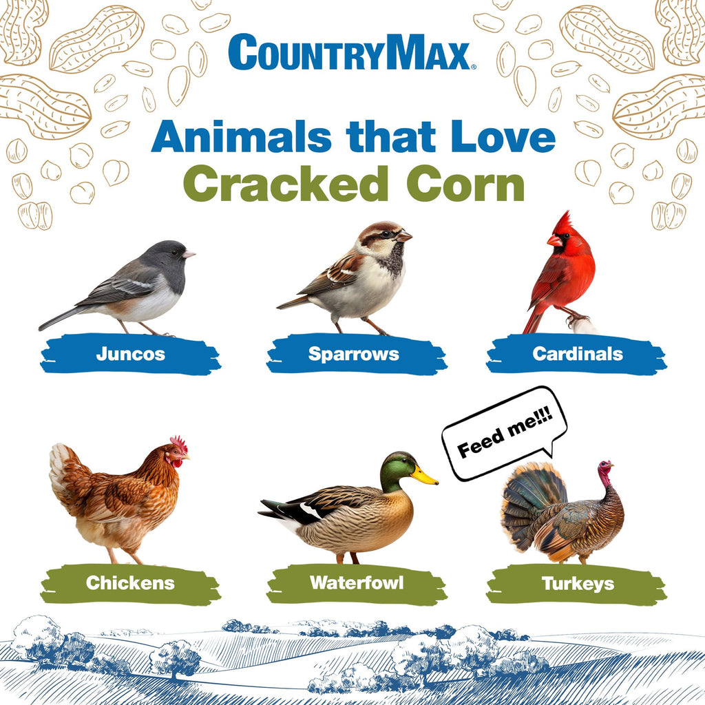 20LB Cracked Corn Chicken Feed L974