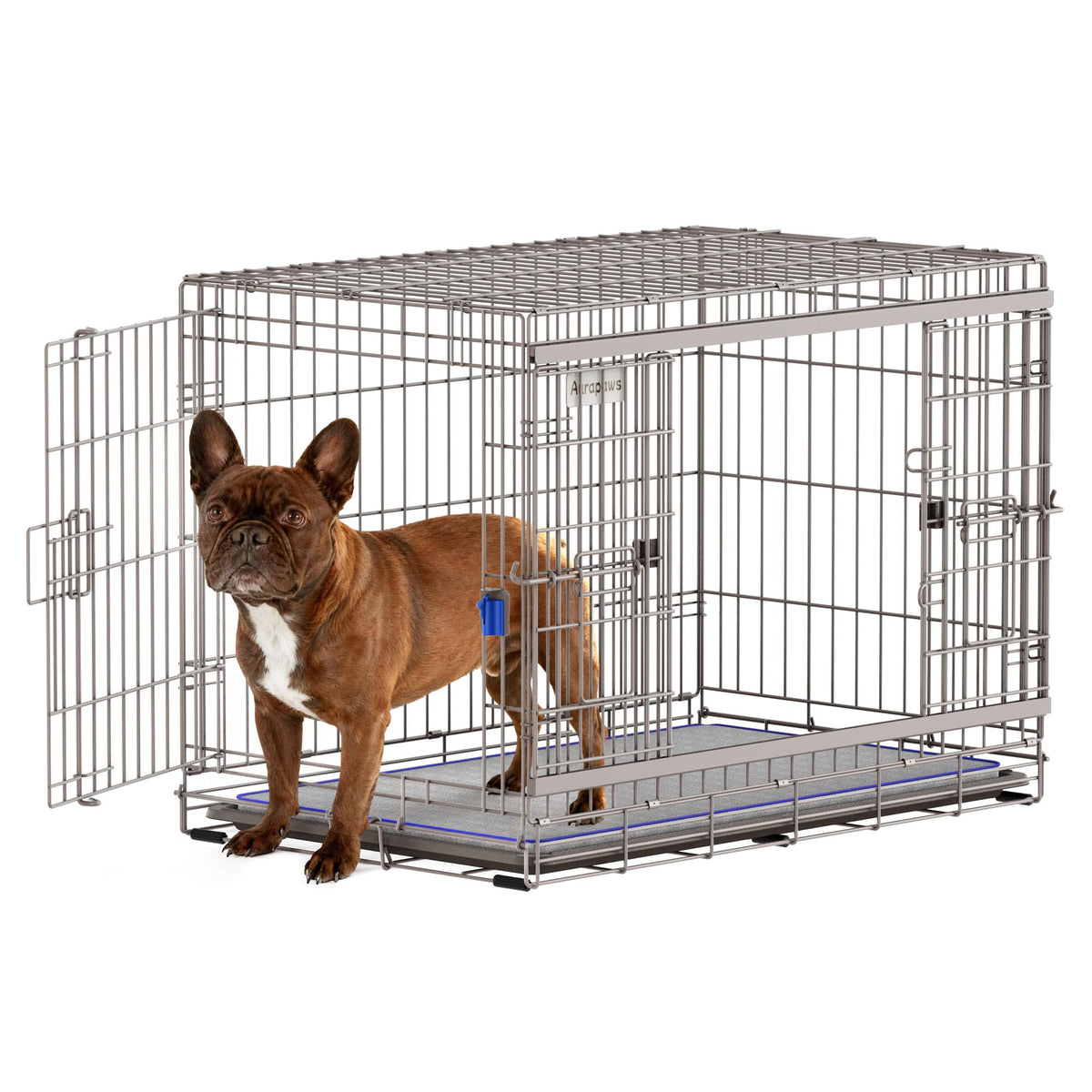 36 Inch Collapsible Dog Crate O516358