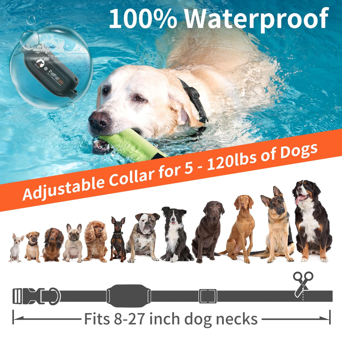 Vibration Dog Collar with Controller C92777