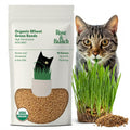 Organic Wheat Grass Seeds 16 Ounces N3875
