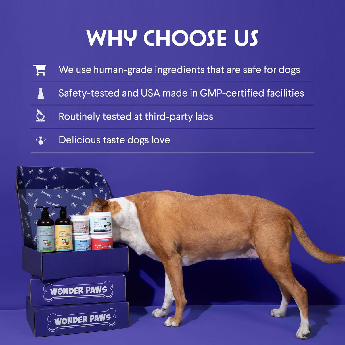 Milk Thistle Liver Support for Dogs with Salmon Oil & Curcumin 2 Oz Y599957