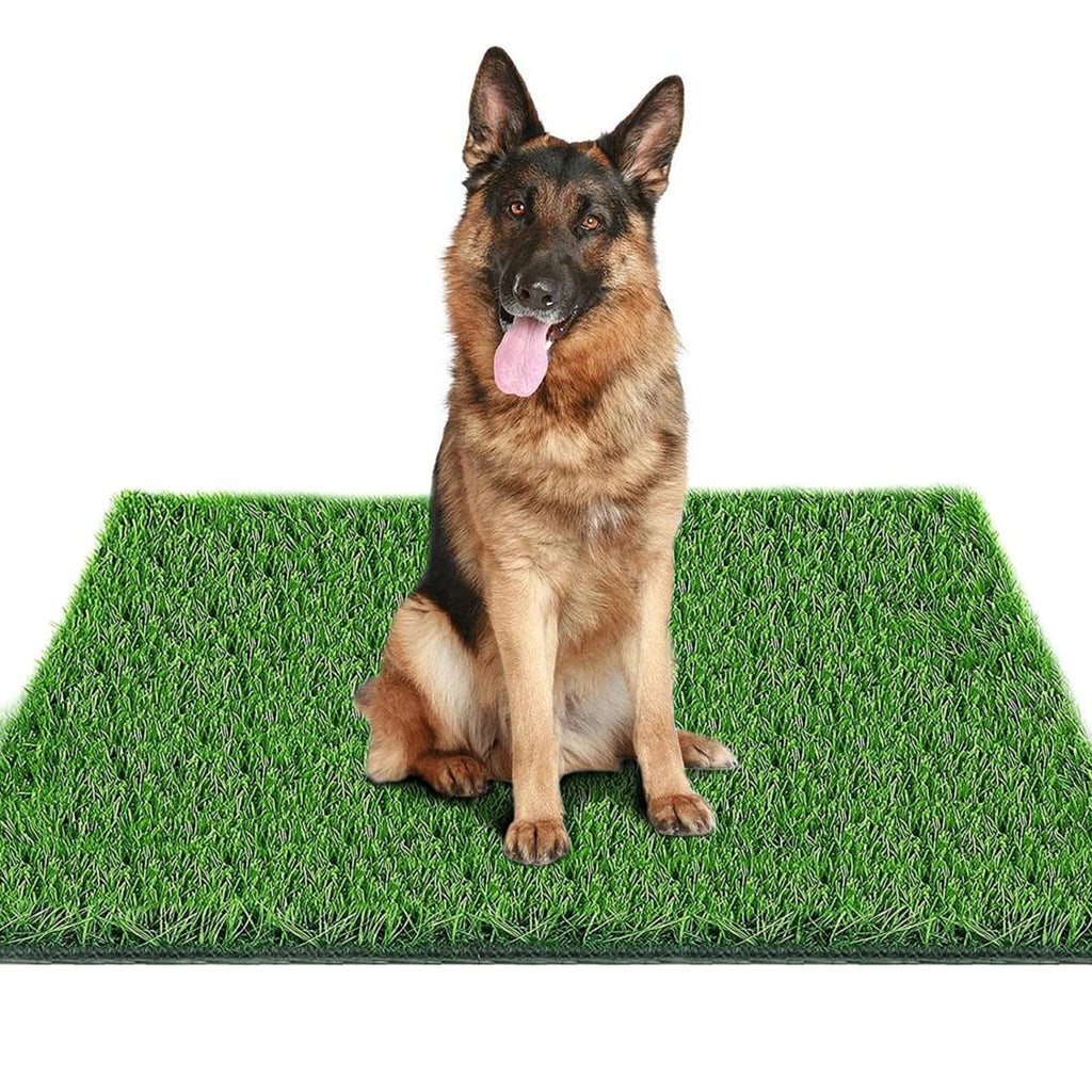 39.3 in X 31.5 in Reusable Artificial Grass Pad for Dogs H722328