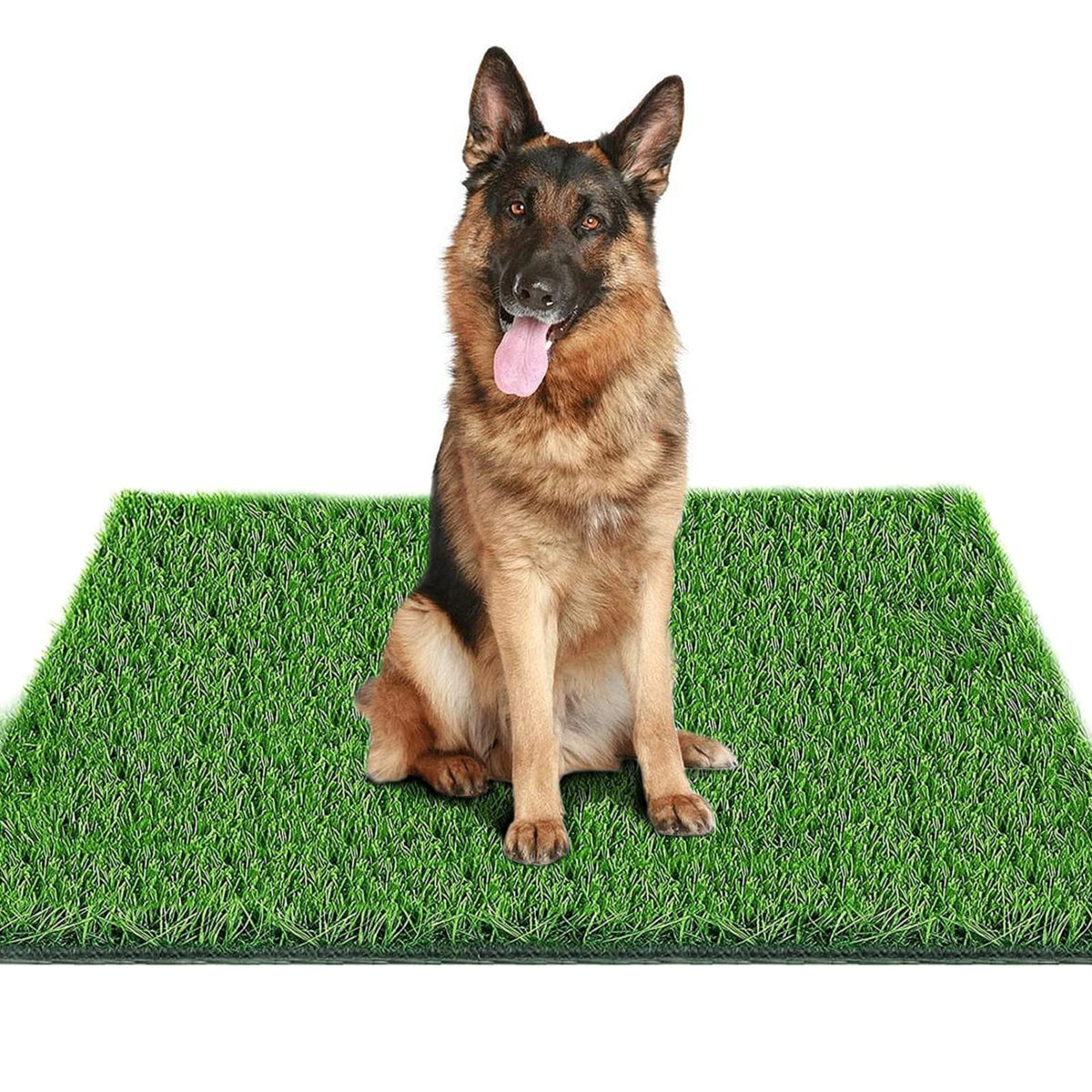 39.3 in X 31.5 in Reusable Artificial Grass Pad for Dogs H722328