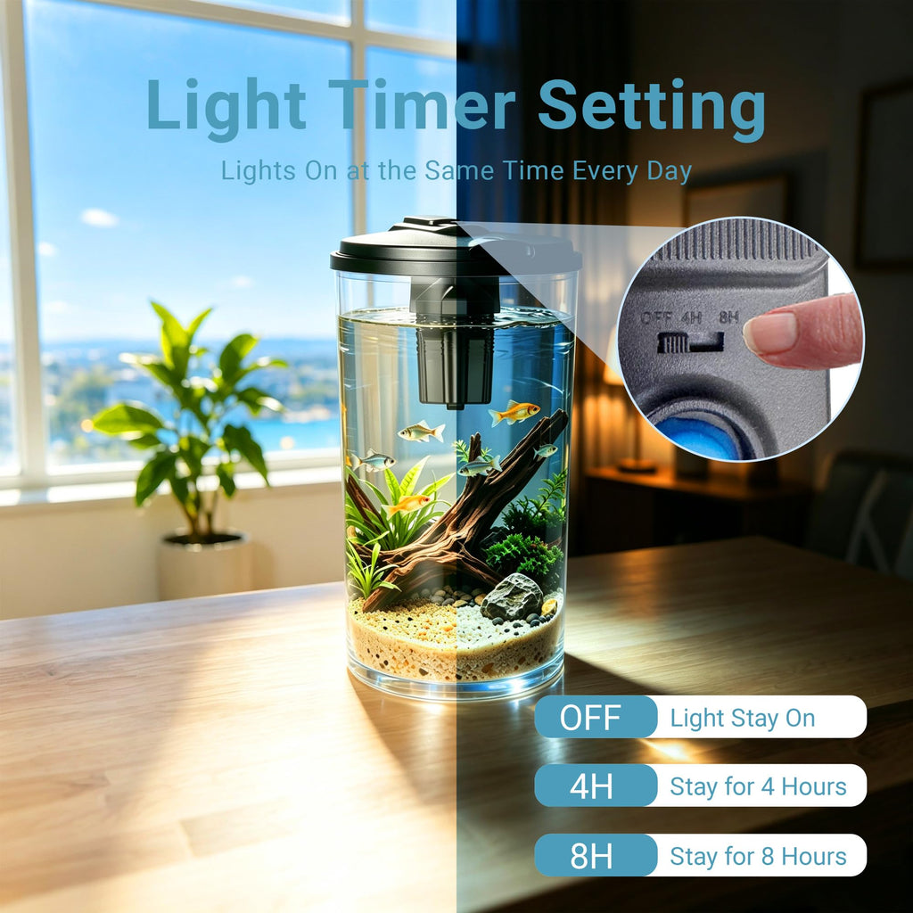 6-Gallon Aquarium Kit with LED Lighting and Power Filter T587