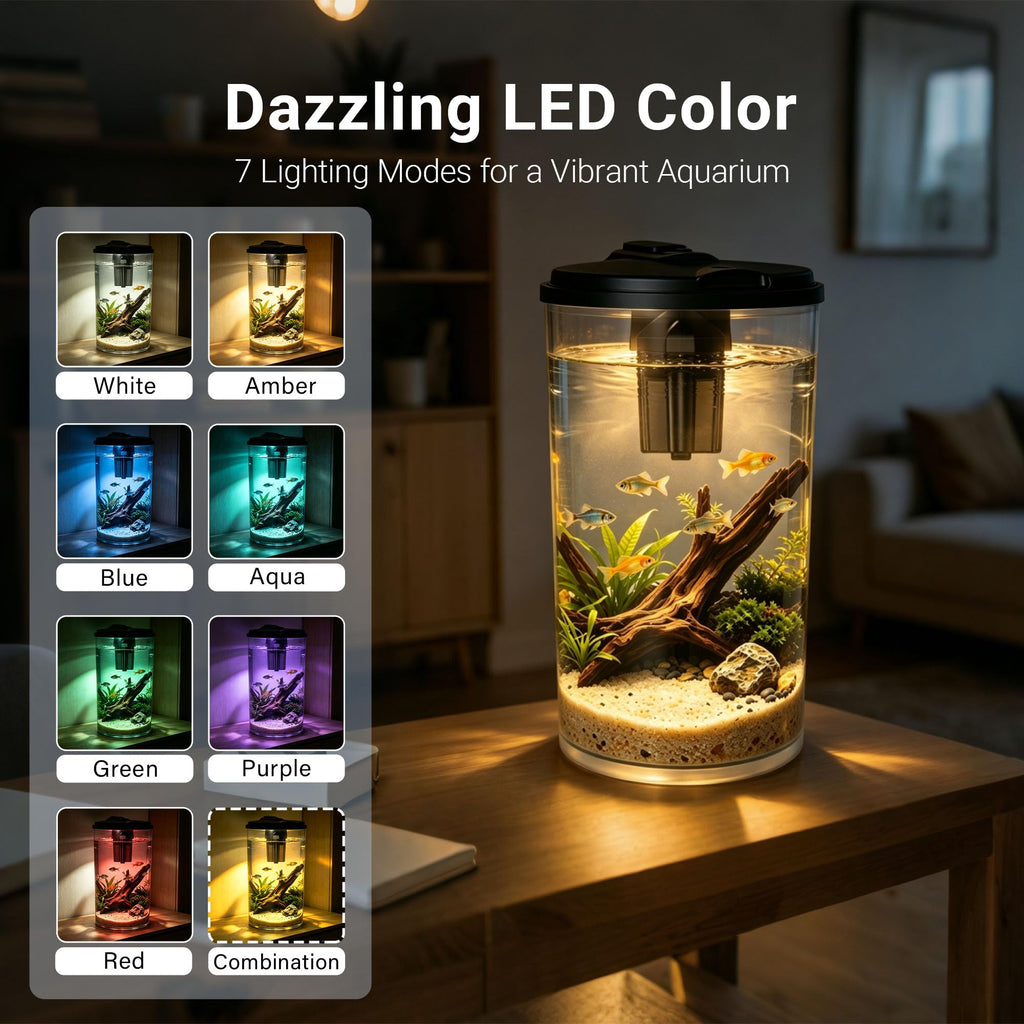 6-Gallon Aquarium Kit with LED Lighting and Power Filter T587