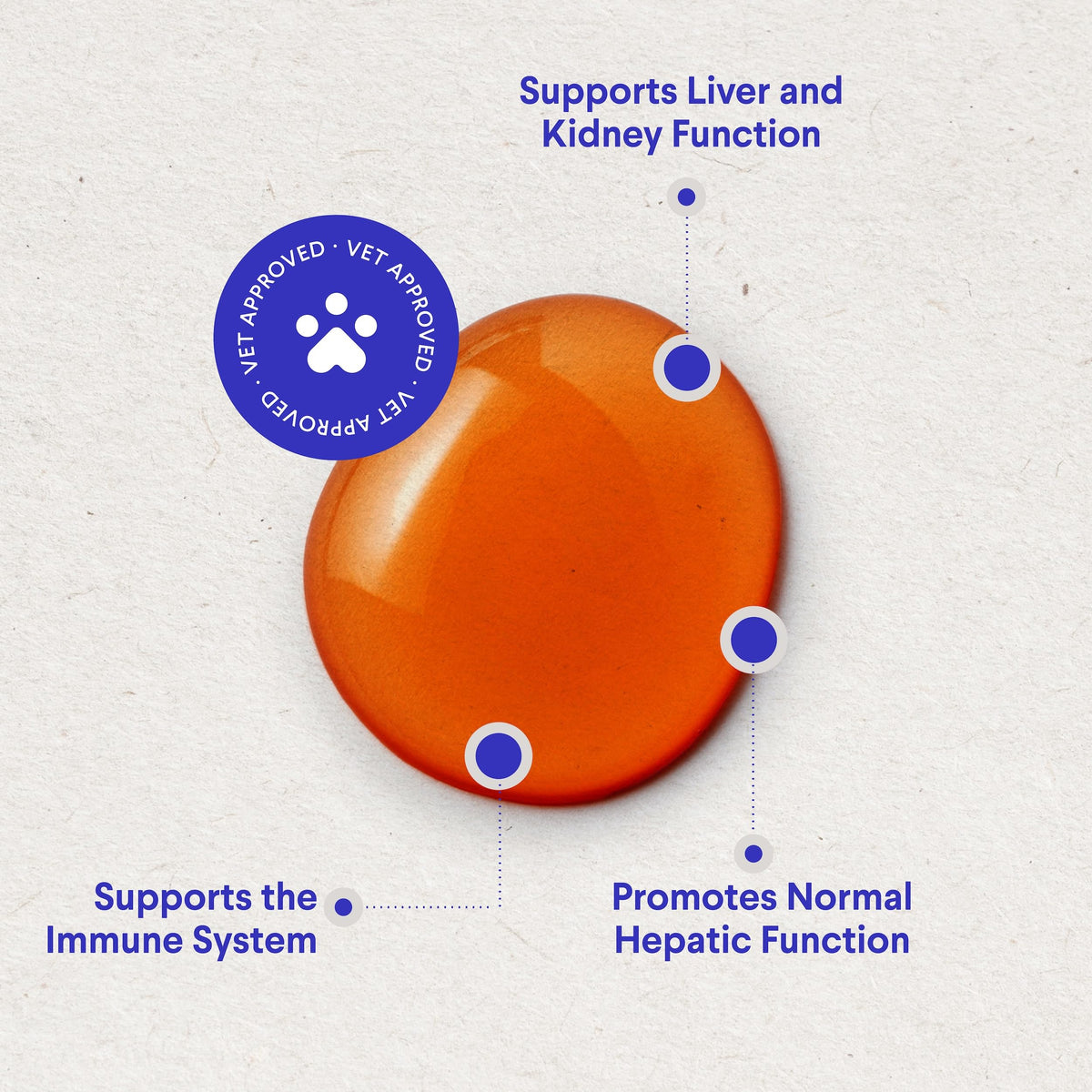 Milk Thistle Liver Support for Dogs with Salmon Oil & Curcumin 2 Oz Y599957
