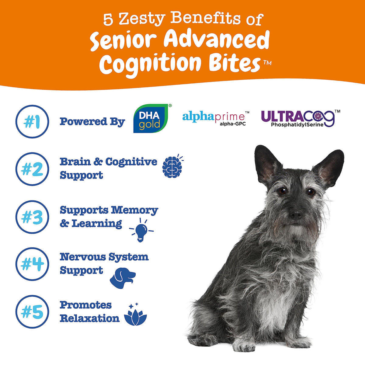 Senior Dog Supplement Cognition Chews Chicken 90 Ct X907
